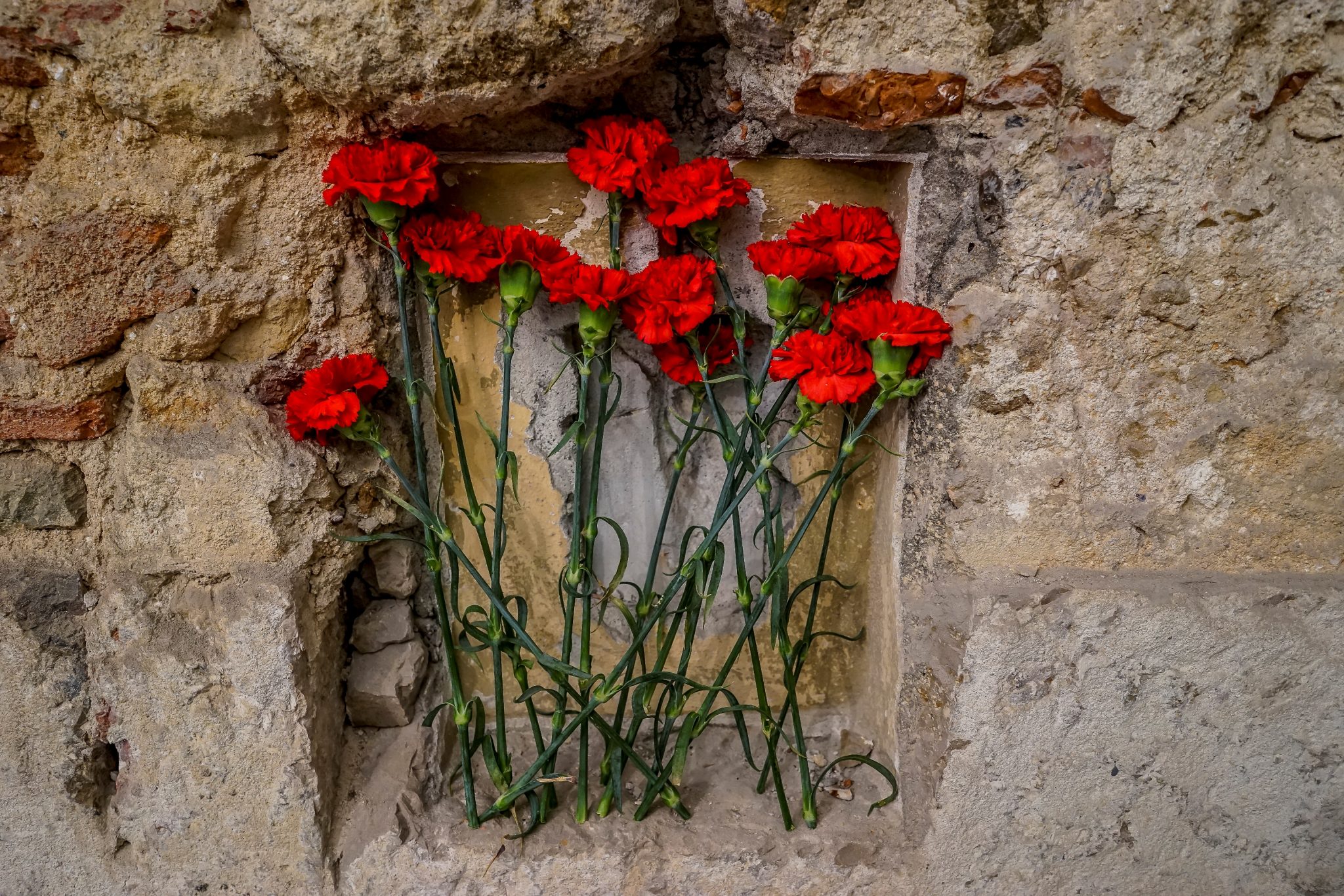 Pormenor de uma parede tosca e um nicho decorado com cravos vermelhos, de frente para o observador.